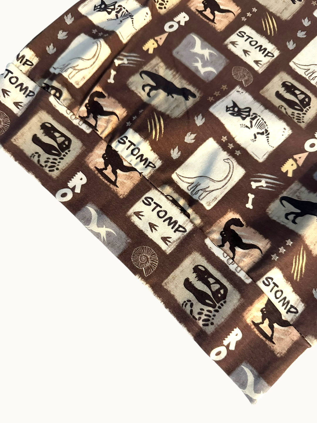 Sweatshirt -  Go Go Dino