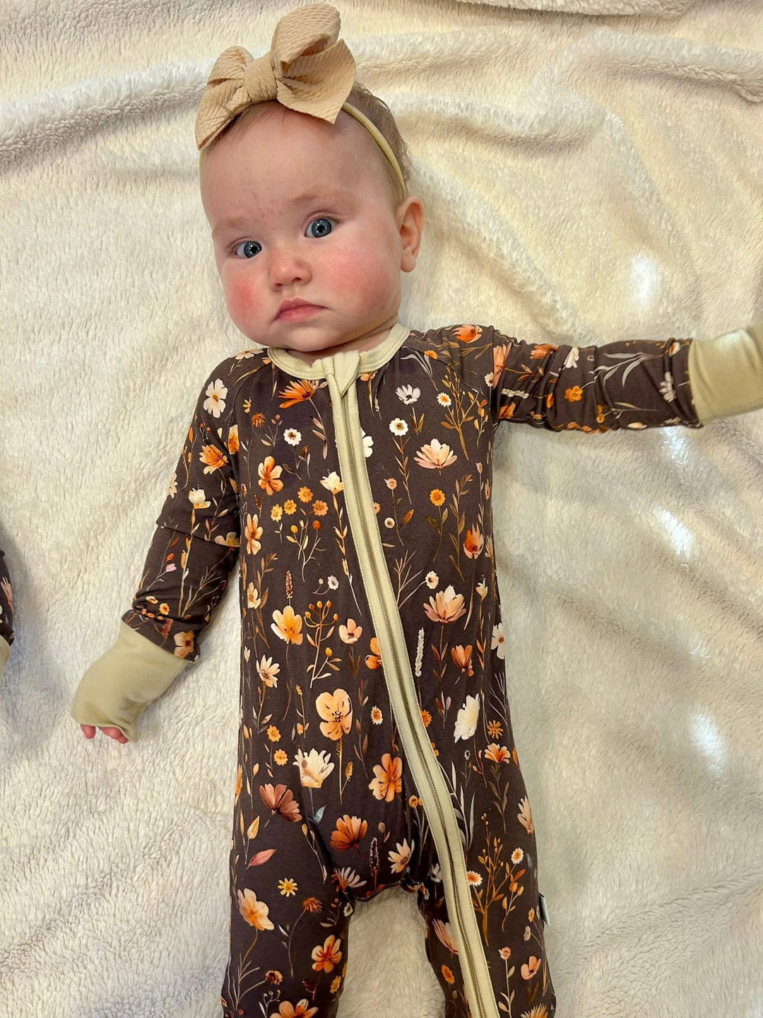 Zippy - Merritt's Meadow