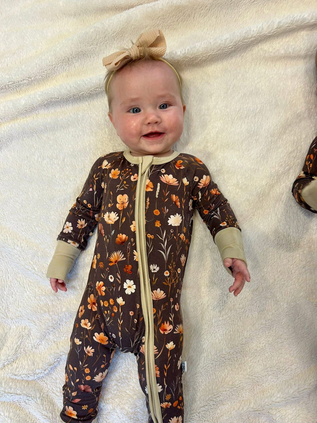 Zippy - Merritt's Meadow