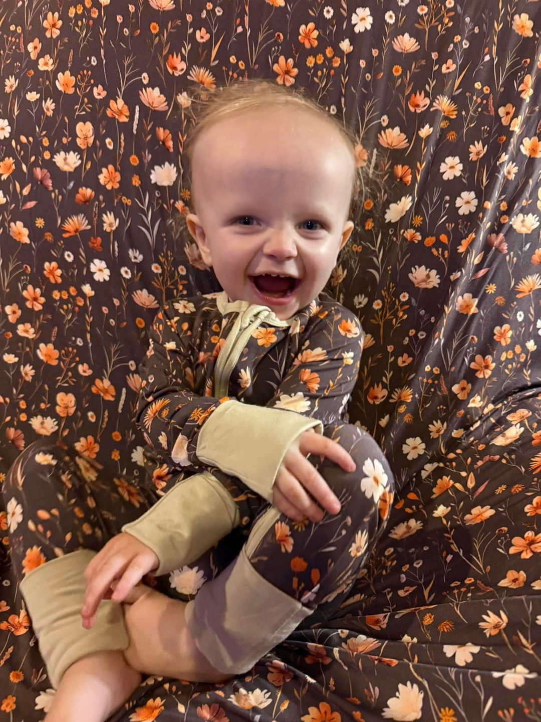 Zippy - Merritt's Meadow