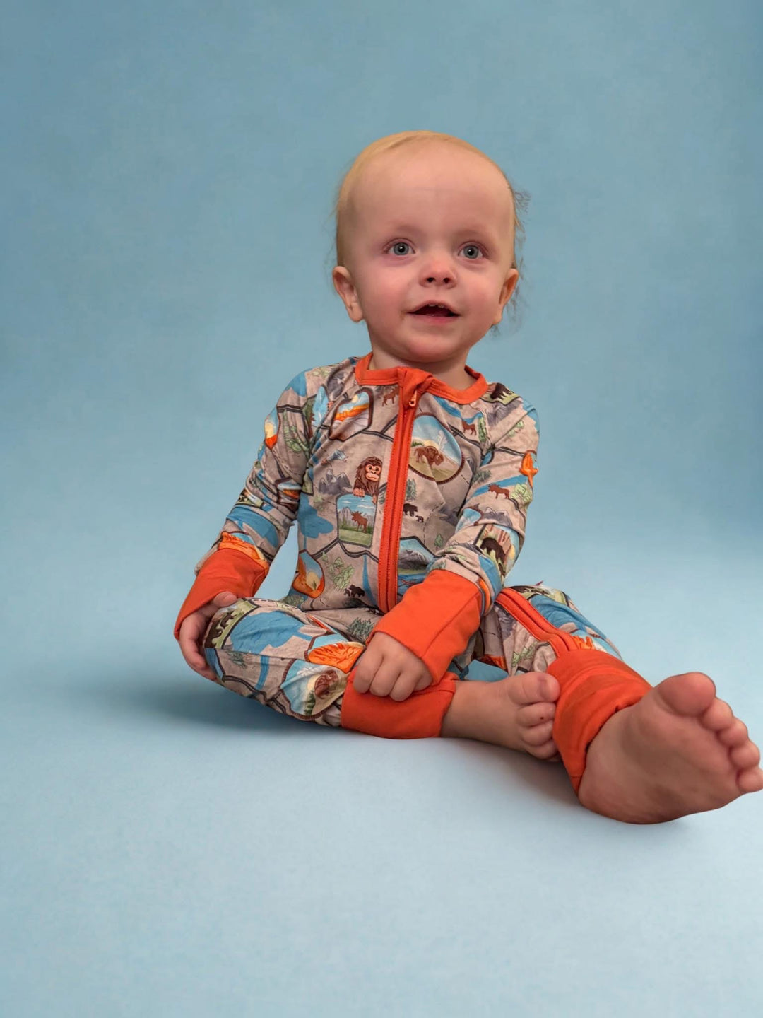 Zippy - National Treasures