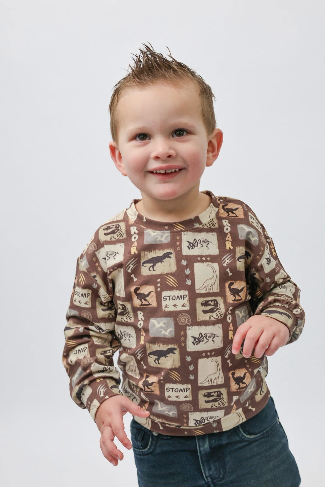 Sweatshirt -  Go Go Dino