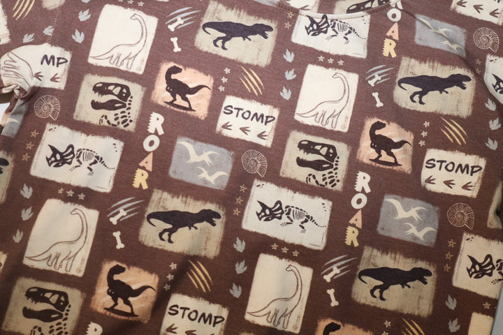 Sweatshirt -  Go Go Dino