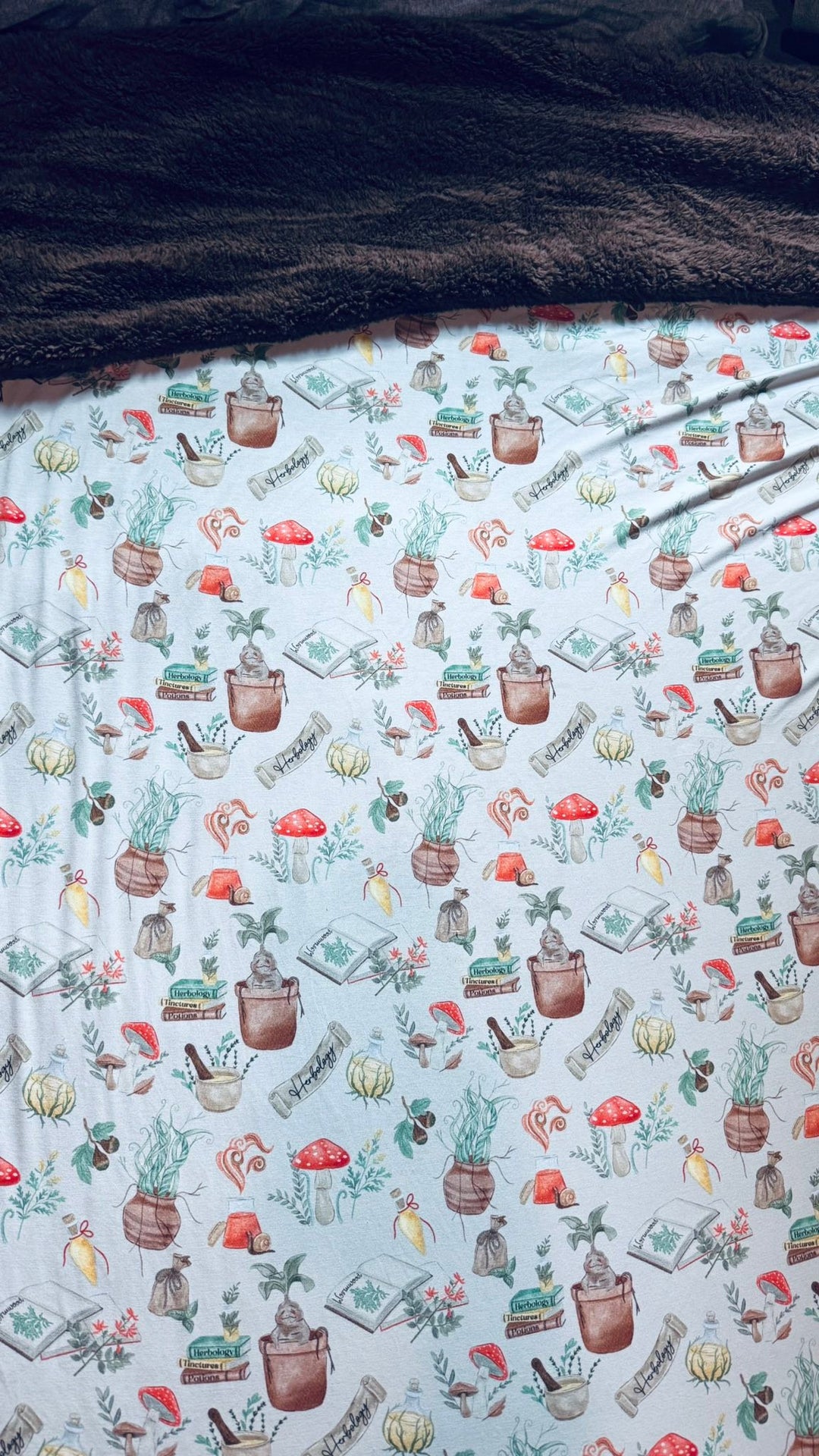 Adult Queen Plush Blanket -  Mischief & Mandrakes