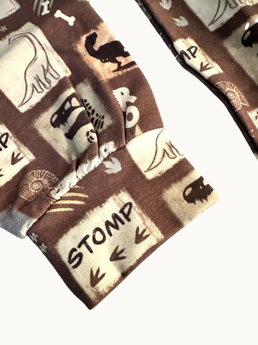 Sweatshirt -  Go Go Dino