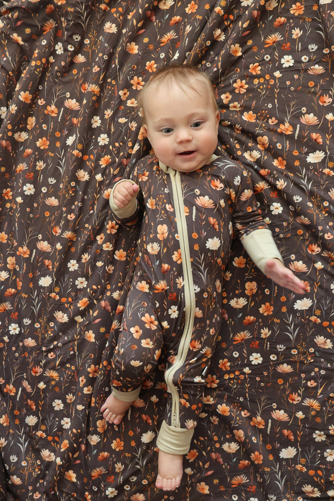 Zippy - Merritt's Meadow