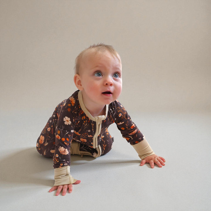 Zippy - Merritt's Meadow