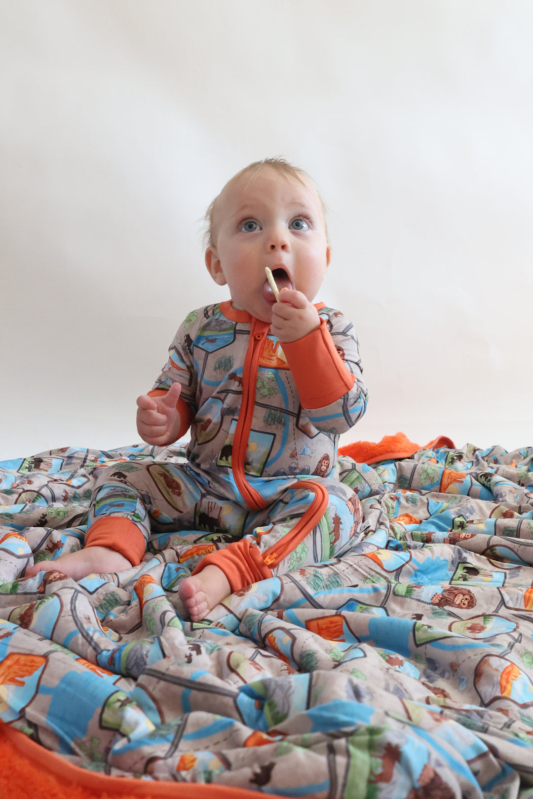 Zippy - National Treasures